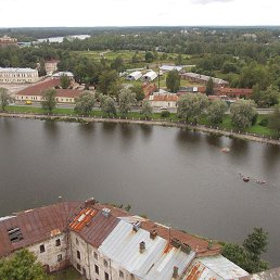 ���� ��������, �����-���������, 53 ���� - ��������� 5 ������� 2020