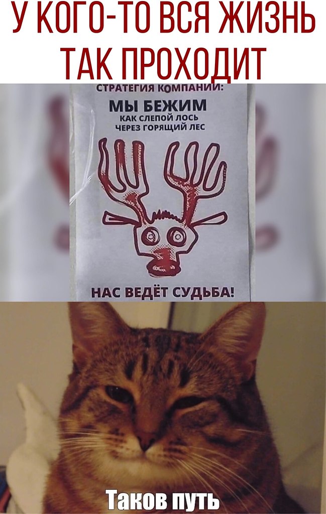 ������ - 24 �������� 2020 � 18:41