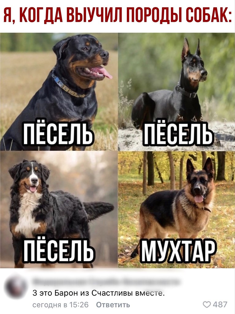  - 7  2020  21:05