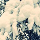 ���� Xacco, ������, 54 ���� - ��������� 19 ����� 2021 � ������ �@photoxacco�