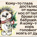 ���� ������, ������� - ��������� 13 ������� 2020 � ������ ���� ����������