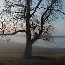 ���� Kuripka, ������, 39 ��� - ��������� 2 ������� 2020 � ������ ������ ��������
