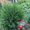 ���� �����, �����-���������, 58 ��� - ��������� 26 �������� 2020 � ������ ����� ��� ��������� �����))) 2020�