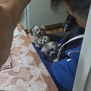 ��������.
28.12.2020. �� ������� ������Ż