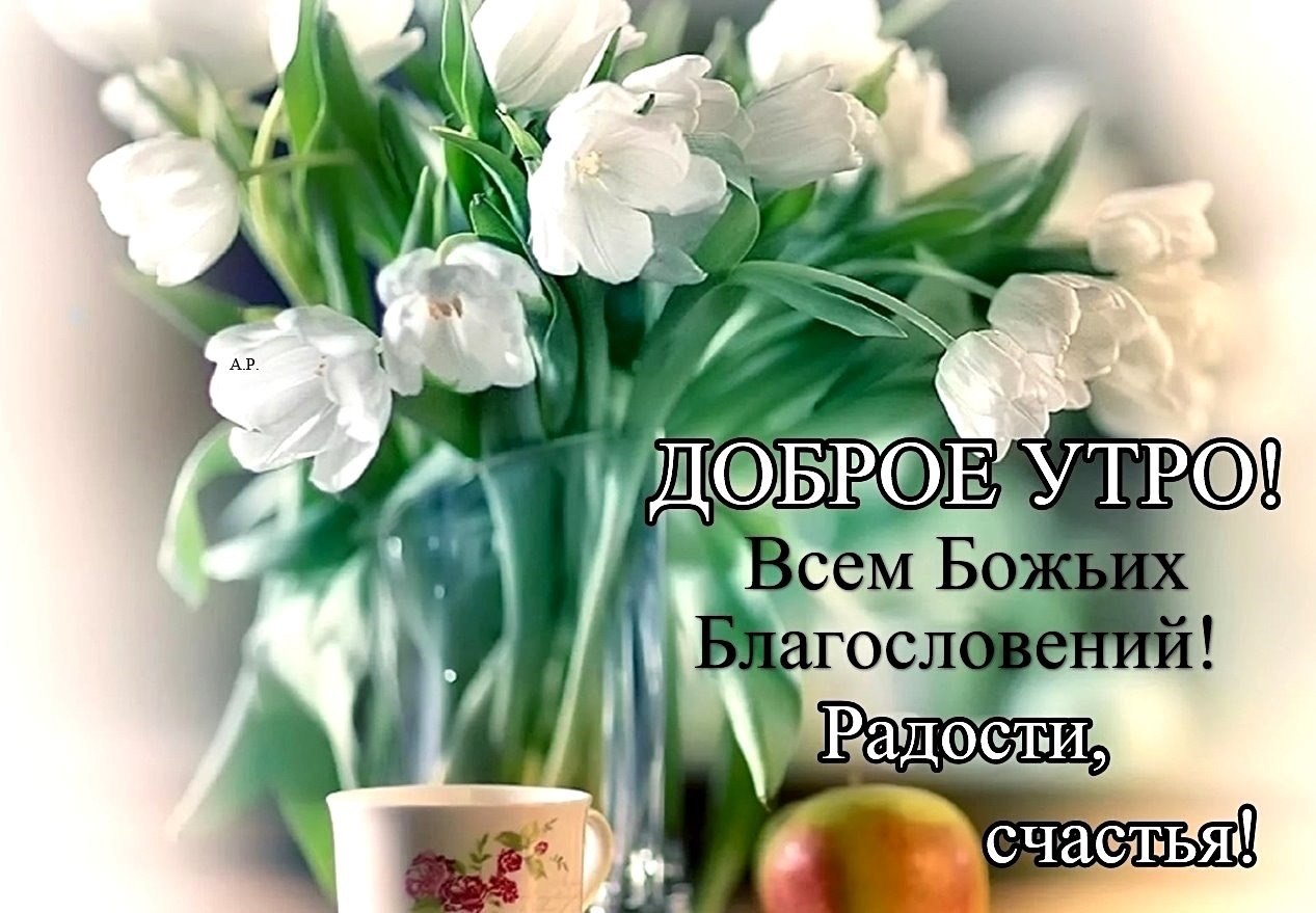   ,    . - 17  2021  23:59 - 10