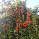 ���� ������, ����-����, 57 ��� - ��������� 25 ������ 2021