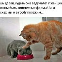 ���� �������, ���� - ��������� 4 ������� 2020 � ������ ���� ����������