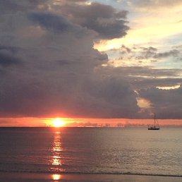 ���� ������, ��������, 52 ���� - ��������� 4 ������ 2021