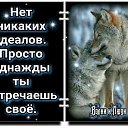  , -, 55  -  20  2020    