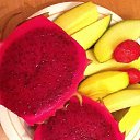 ���� �����, ���������, 48 ��� - ��������� 28 �������� 2020 � ������ ���� ����������