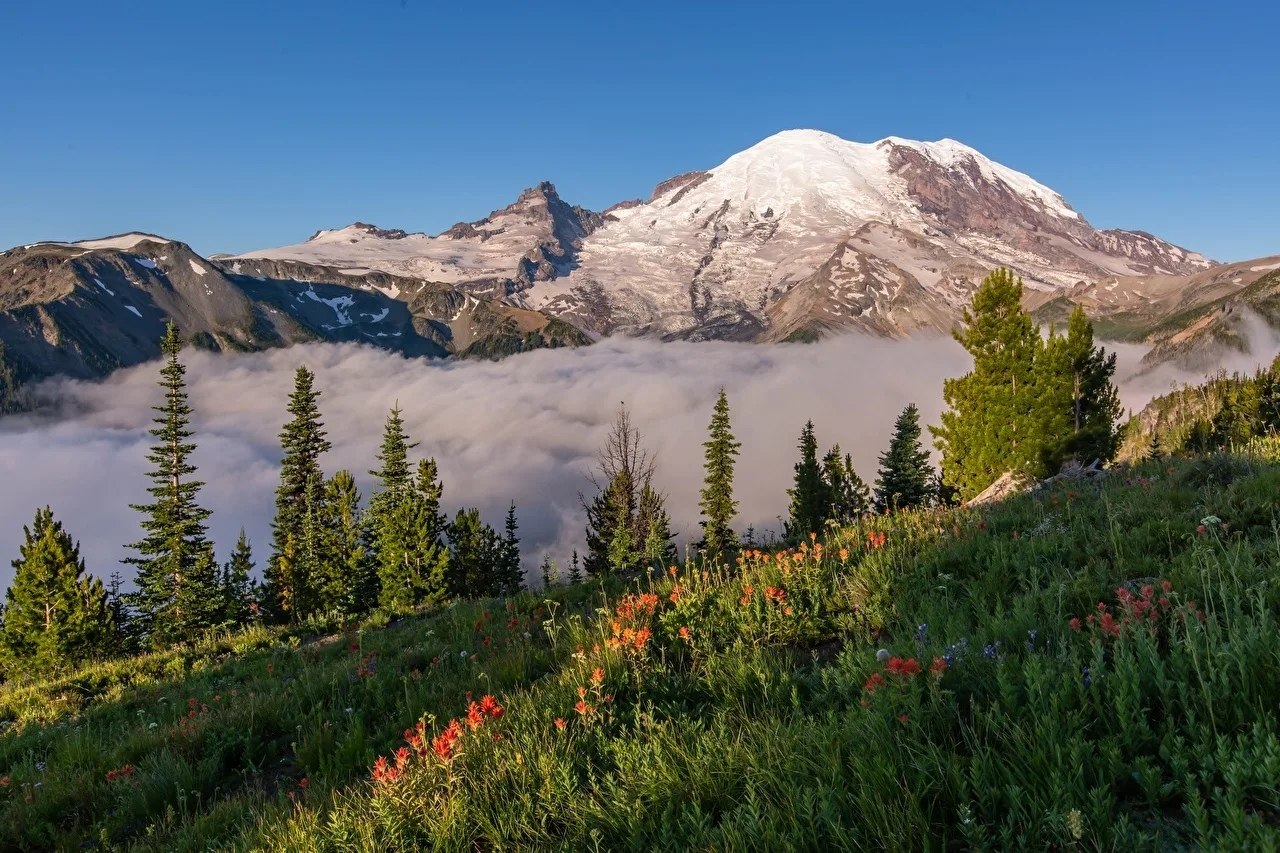 Mt Rainier,   