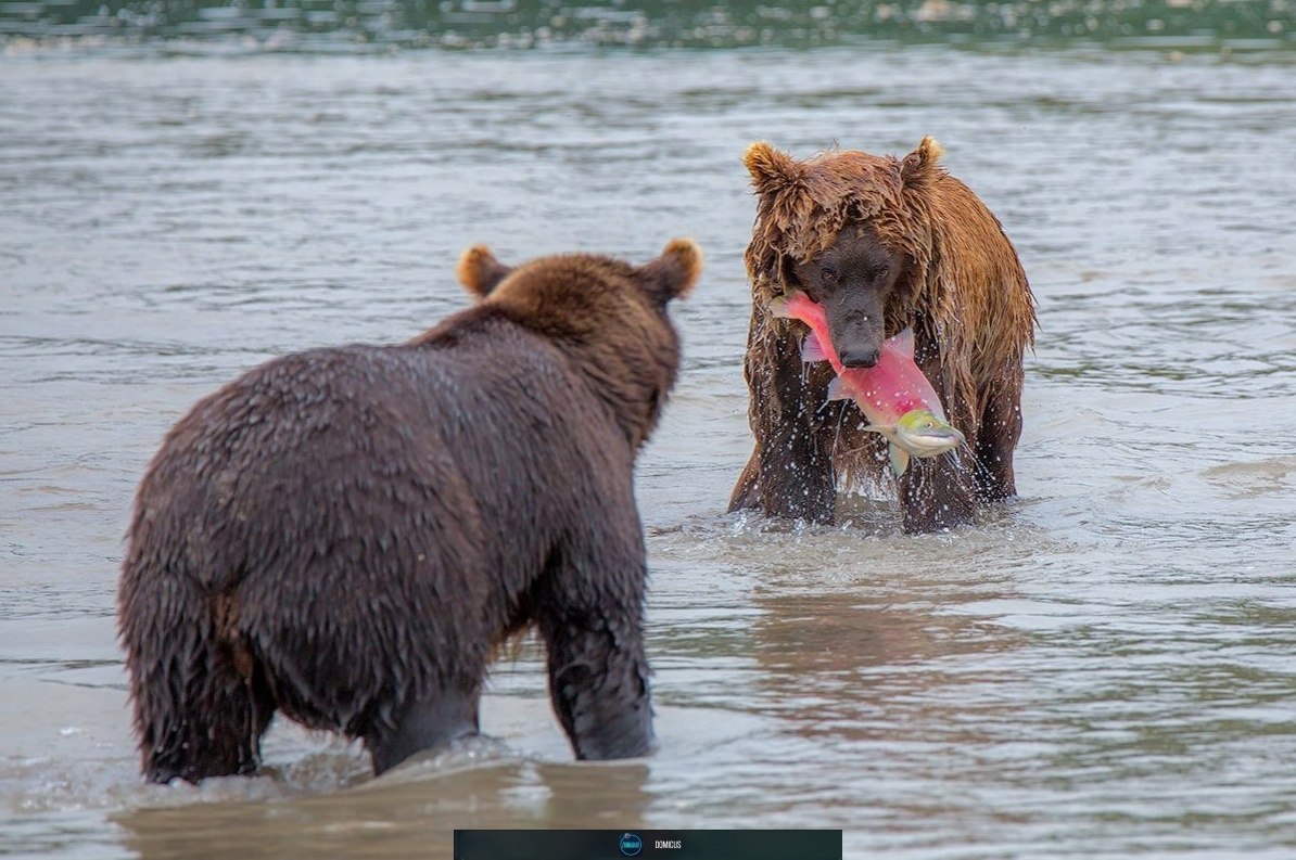 a ee o eo a epec https://fotostrana.ru/away?to=/sl/Tjn2 - 8