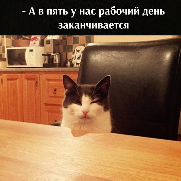 ��� ���� � ����� �� �� - 13 ����� 2021 � 09:34 - 4