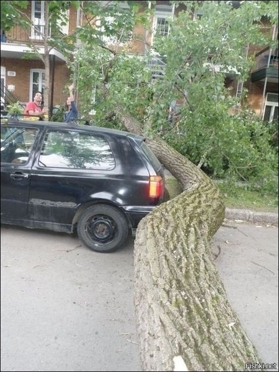 E  e u,  ru ue, o o: - 3