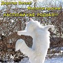 ���� ������, ������ - ��������� 4 ������� 2020 � ������ �� � ��