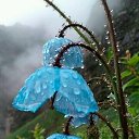 ���� �������, ������-��-���� - ��������� 23 ������� 2020