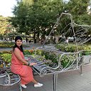  , , 51  -  5  2020   2020....