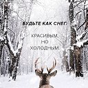 ���� Moonlight, ��������� - ��������� 6 �������� 2020 � ������ ������ ��������