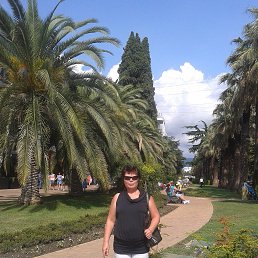 �, ���, 63 ����