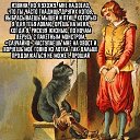 ���� ��������, ������ - ��������� 9 �������� 2020 � ������ ������ ��������