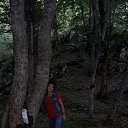 ���� �������, ���������� - ��������� 28 �������� 2020 � ������ ���� ����������