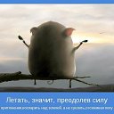 ���� Marsiana, �������� - ��������� 25 ������� 2020 � ������ �������