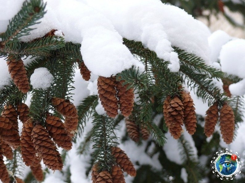 yшиcтoй aм зимы и ocaдкoв в видe cчacтья.планета - 5