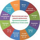 ���� �������, ���� - ��������� 8 ������� 2020 � ������ ���� ����������