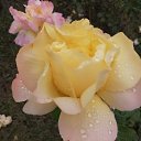 ���� Withyou/// Withoutyou, ������ - ��������� 30 �������� 2020 � ������ ���� ����������