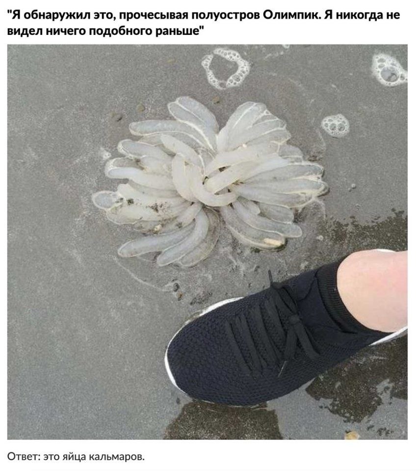 Немного познавательной информации - 5