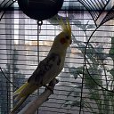 ���� ����, ������, 58 ��� - ��������� 1 ������ 2021 � ������ ���� ����������