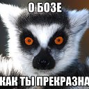 ���� ��� � �����, �������� - ��������� 12 �������� 2020 � ������ ������ ��������