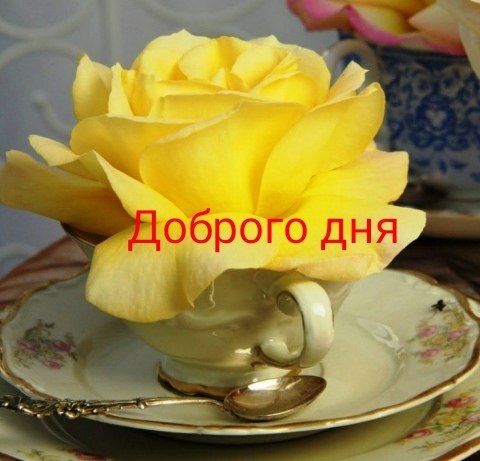   ,    . - 29  2020  15:22 - 3