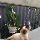 ���� �������, ����������, 51 ��� - ��������� 25 ������� 2020 � ������ ���� ����������