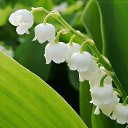 ���� ������, ������������ - ��������� 24 �������� 2020 � ������ ��������