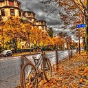 ���� �������, ������, 61 ��� - ��������� 11 ������� 2020 � ������ ������ ��������