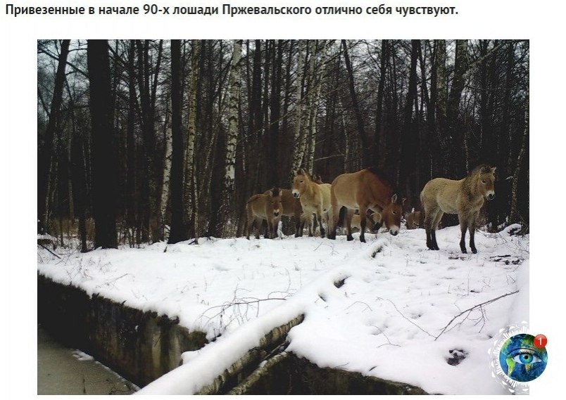  poco cao ooo oe epo. aepa acpoaa eepooe.  - 9