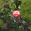 ���� Denis, �������� - ��������� 6 ������ 2020 � ������ ������ - ���� ))�