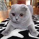 ���� �, ����, 64 ���� - ��������� 26 ������� 2020 � ������ ���� ����������