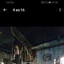 ���� ������, �����, 51 ��� - ��������� 8 ������ 2020