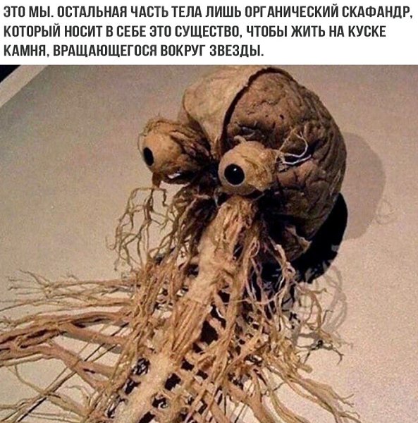 BEST | , ,  - 12  2020  19:07