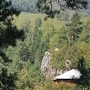 ���� ˸��, �������, 53 ���� - ��������� 1 ������ 2021 � ������ ���� ����������