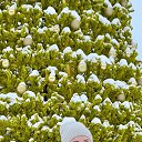 ���� ������, ����������, 45 ��� - ��������� 9 ������ 2021 � ������ ���� ����������