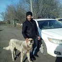 ���� �� �����, �����-���������, 36 ��� - ��������� 12 ������ 2020