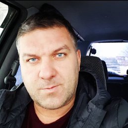 ���������, �������������-����������, 46 ���