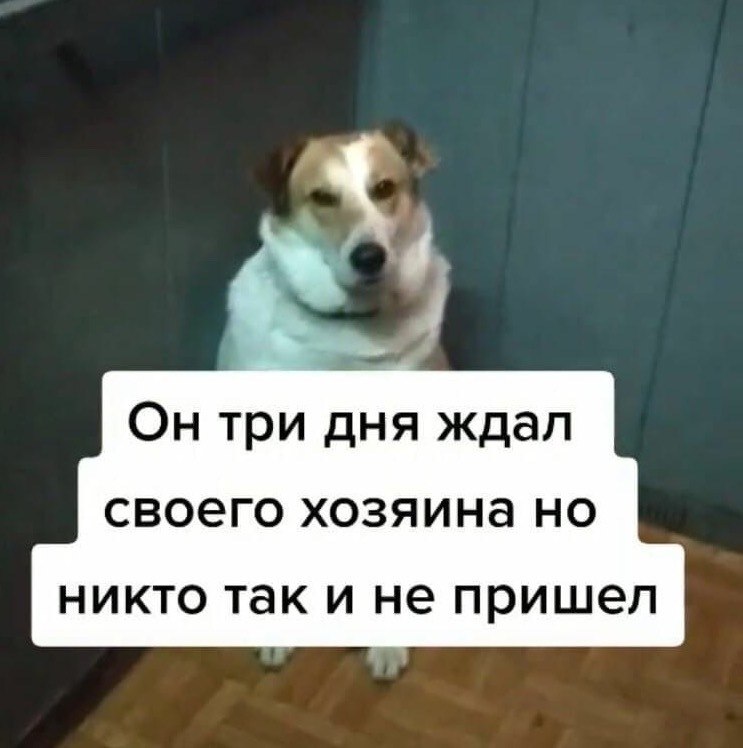   - 3