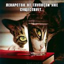���� ��������, �����-���������, 54 ���� - ��������� 23 ������� 2020 � ������ ������ ��������