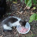 ���� �����, ������ - ��������� 11 �������� 2020 � ������ ���� ����������