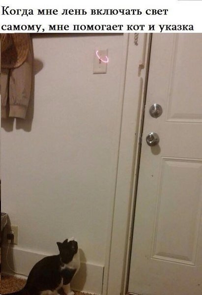 ��� �������� �������� - 21 ����� 2021 � 18:29