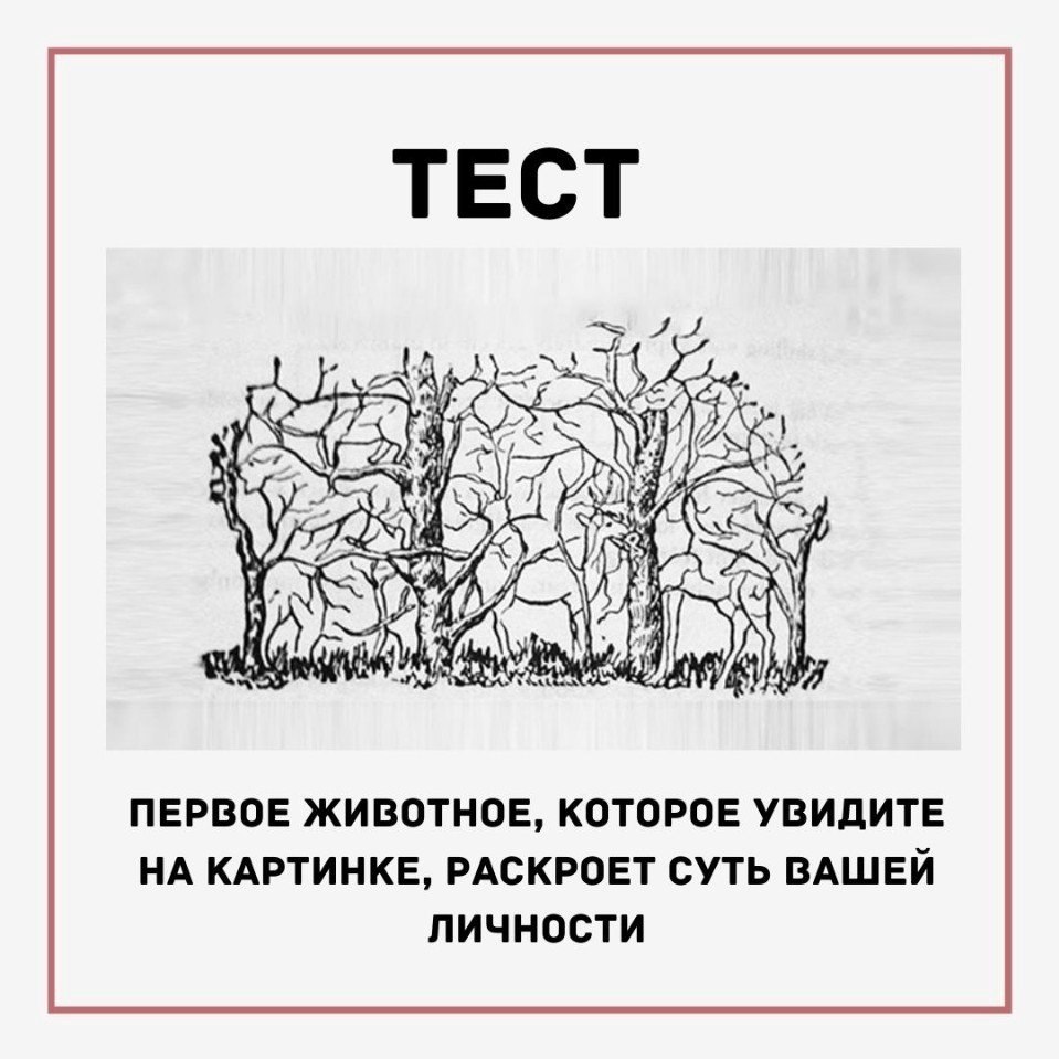 Какое животное увидели на картинке А как же без тестa?) Философия Психология Саморазвитие Фотострана Пост № 2239983